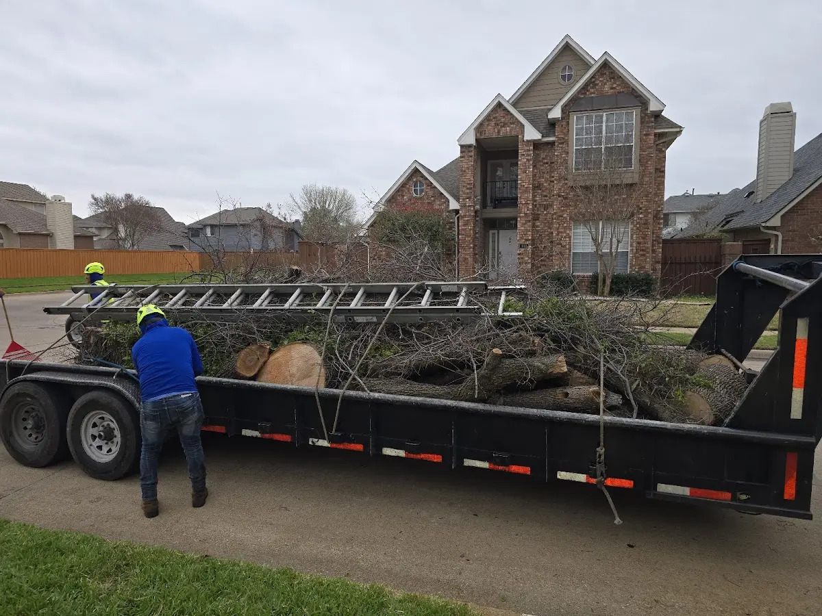 Expert Tree Fertilization with proper safety equipment in Mc Arthur